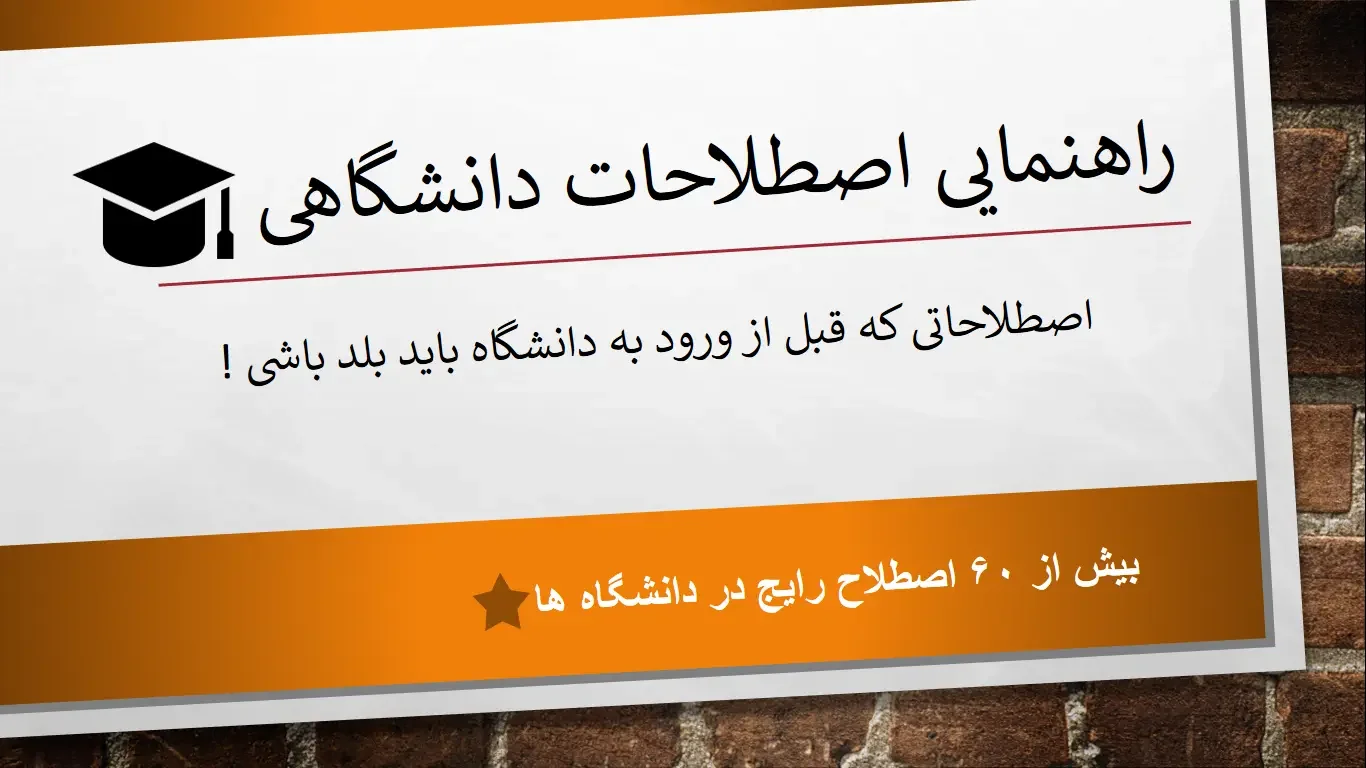 اصطلاحات دانشگاهی