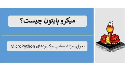 میکرو پایتون چیست